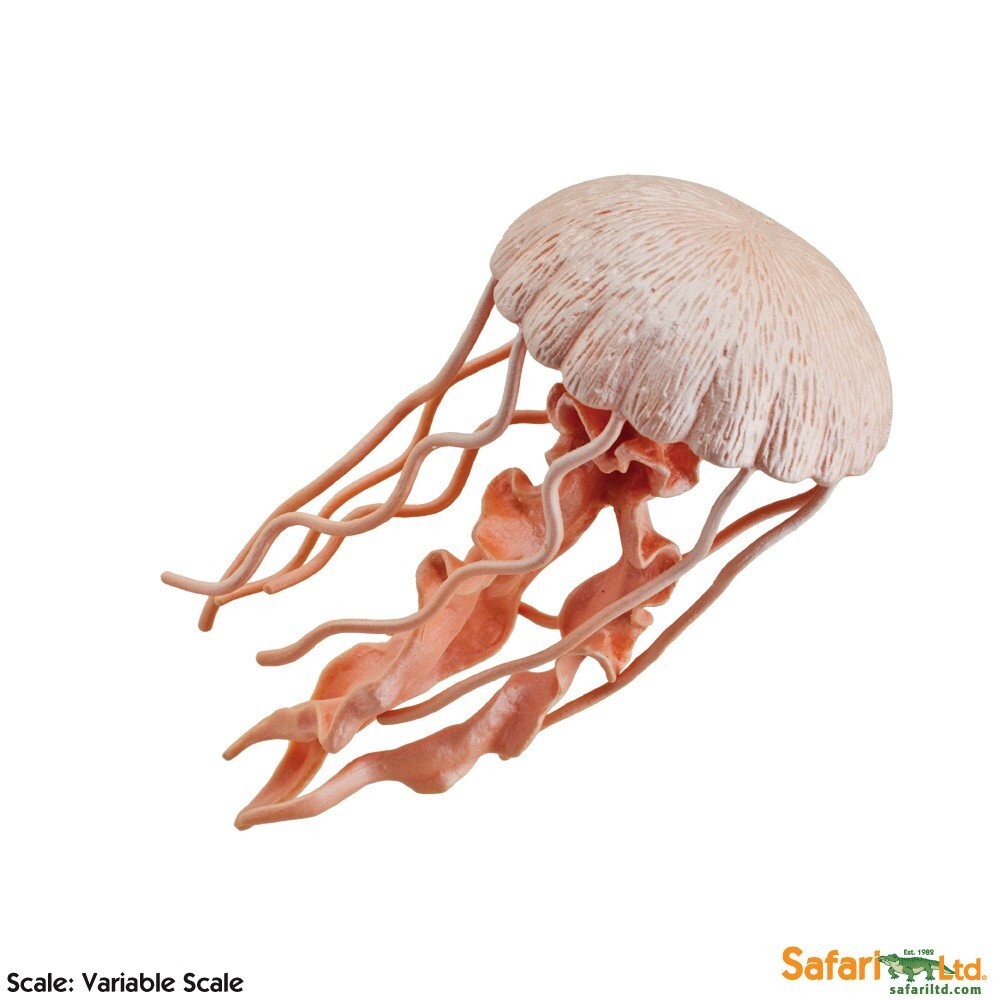 

Safari Ltd 265529 Медуза 12,75 х 6см