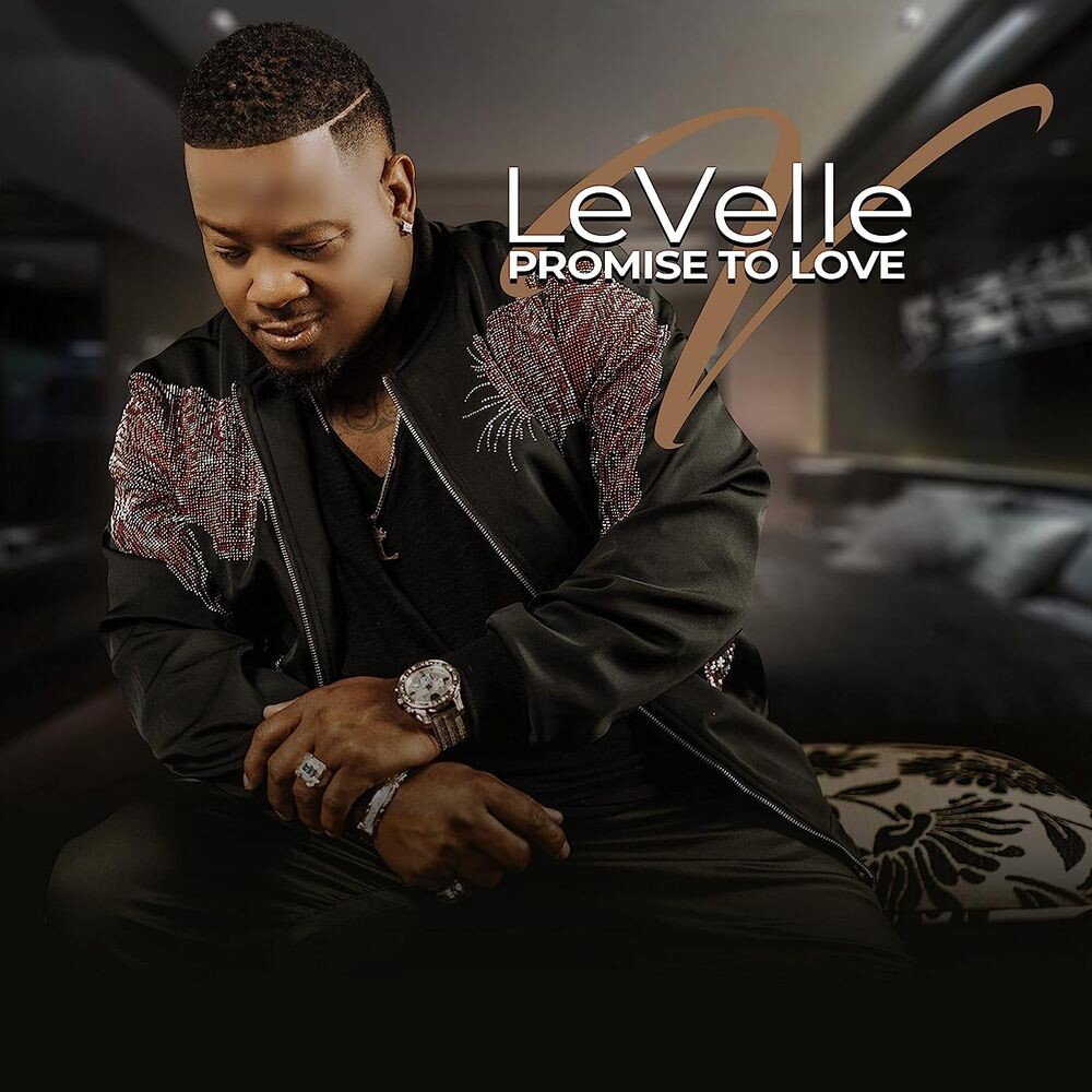 

Диск CD Promise To Love - LeVelle