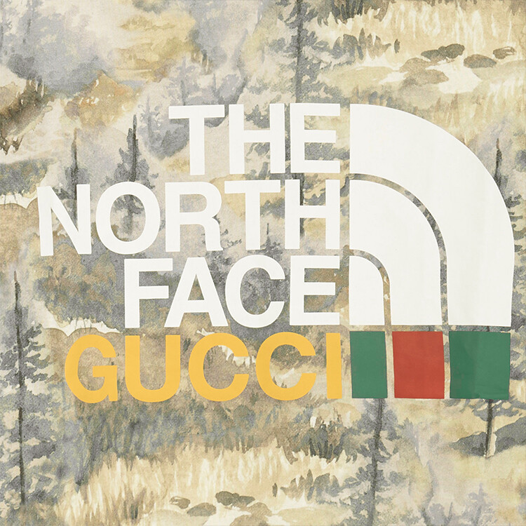Футболка женская Gucci x The North Face с принтом, белый / серый — фото 4