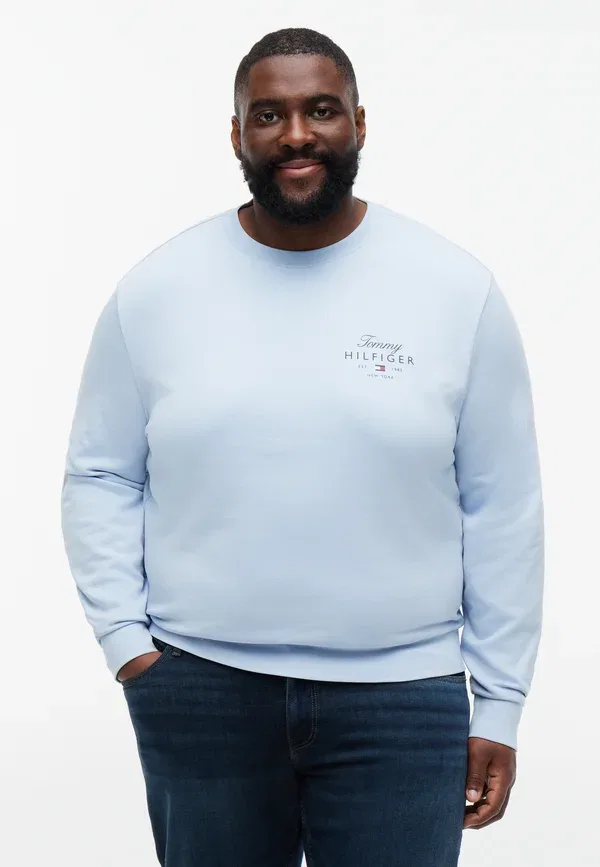 Свитшот Tommy Hilfiger Love, светло-голубой