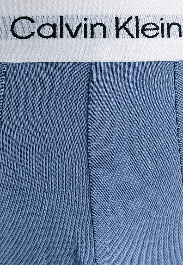 Трусы, 2 шт., Calvin Klein, голубой — фото 4