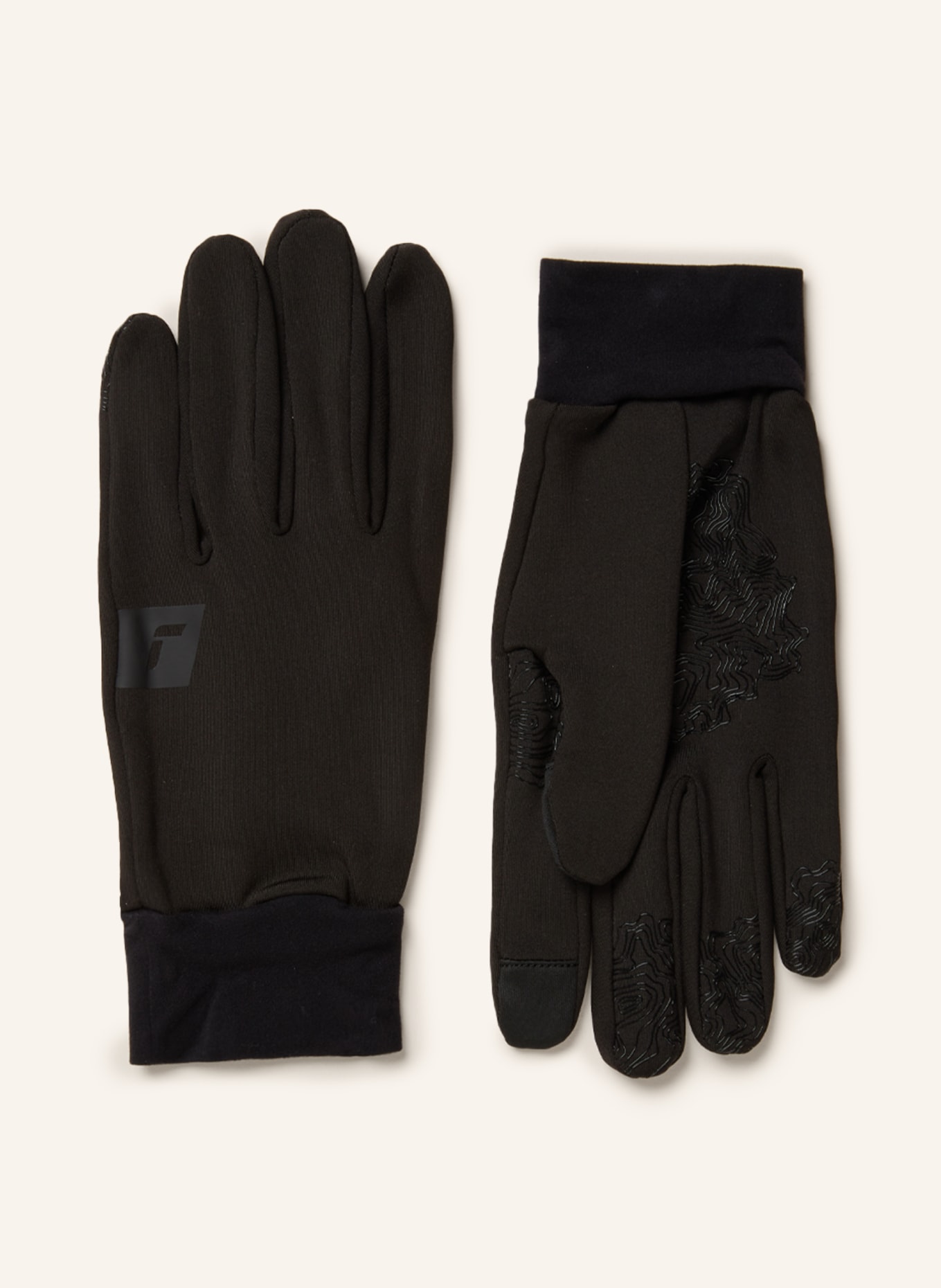 

Лыжные перчатки Ashton Touch-Tec Reusch, черный