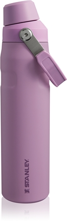 

Бутылка для воды из нержавеющей стали Stanley IceFlow Fast Flow Lid Bottle, Lilac 600 ml