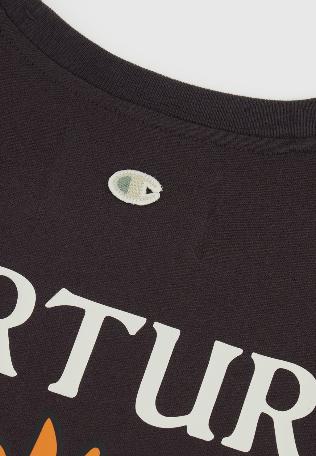 

Футболка с принтом CREWNECK ECO FUTURE Champion Rochester, черный