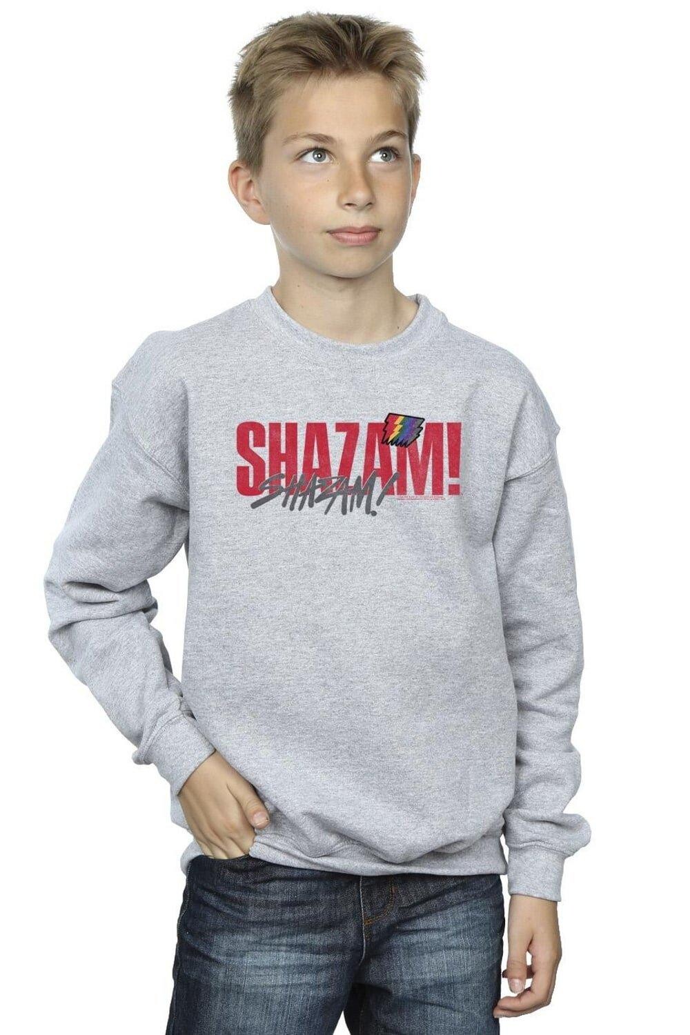 

Толстовка Shazam Fury Of The Gods Pride Distress DC Comics, серый