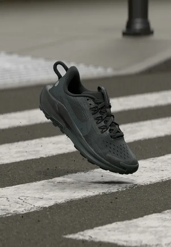 Кроссовки для бега Pegasus 5 Nike Performance black/anthracite/wolf grey, черный/серый
