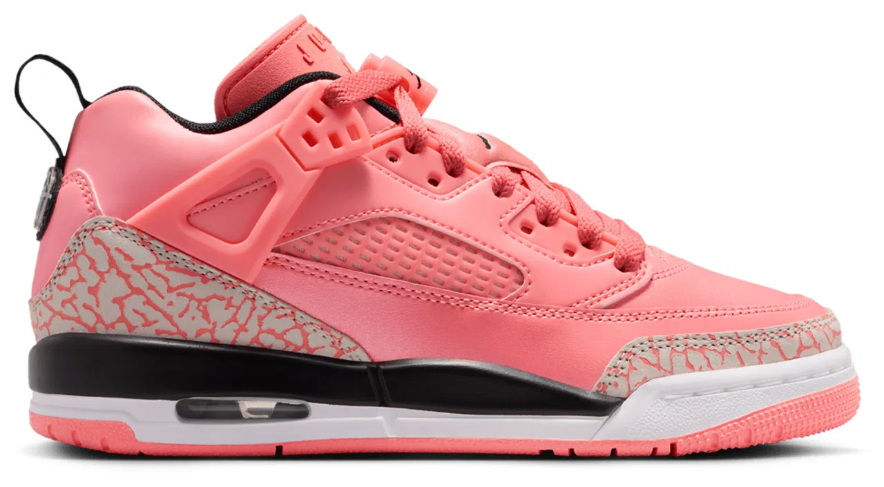 Баскетбольные кроссовки для мальчиков Spizike Low Jordan, цвет Black/White/Pink Gaze