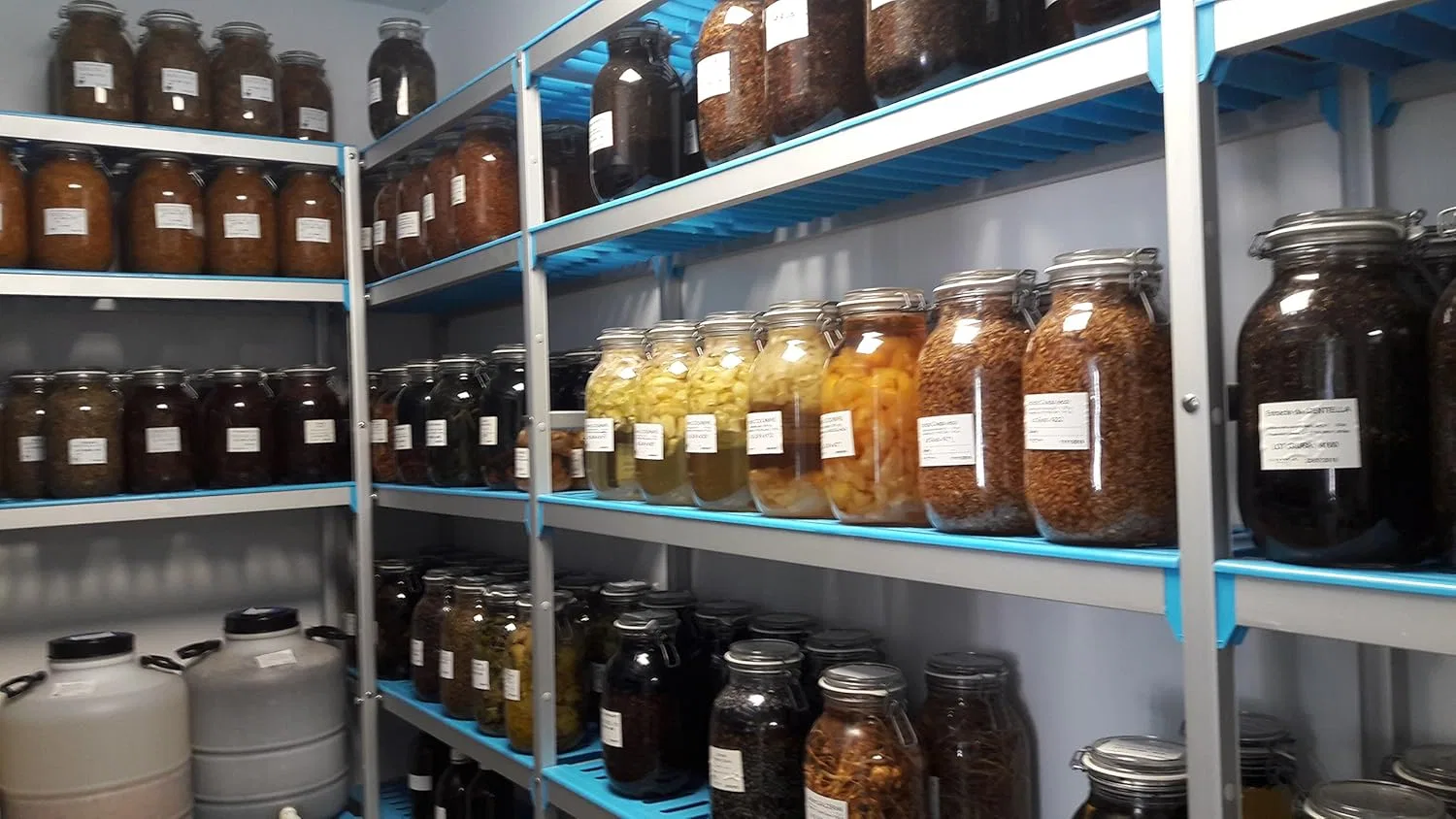 Крем Episan для кожи, Cosmetics Giura, 50 мл — фото 4