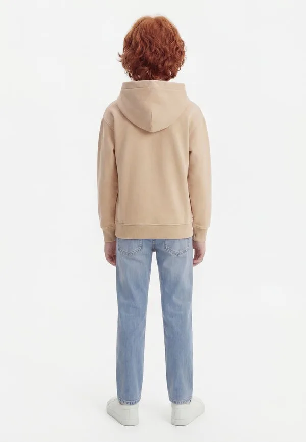 Выцветшая толстовка Abercrombie & Fitch, Simply Taupe — фото 2