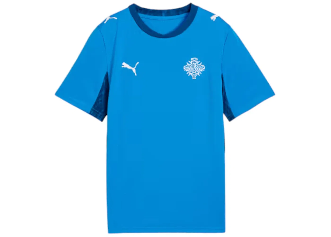 Детская футбольная футболка с длинным рукавом Jersey Puma, Electro Royal/Puma White