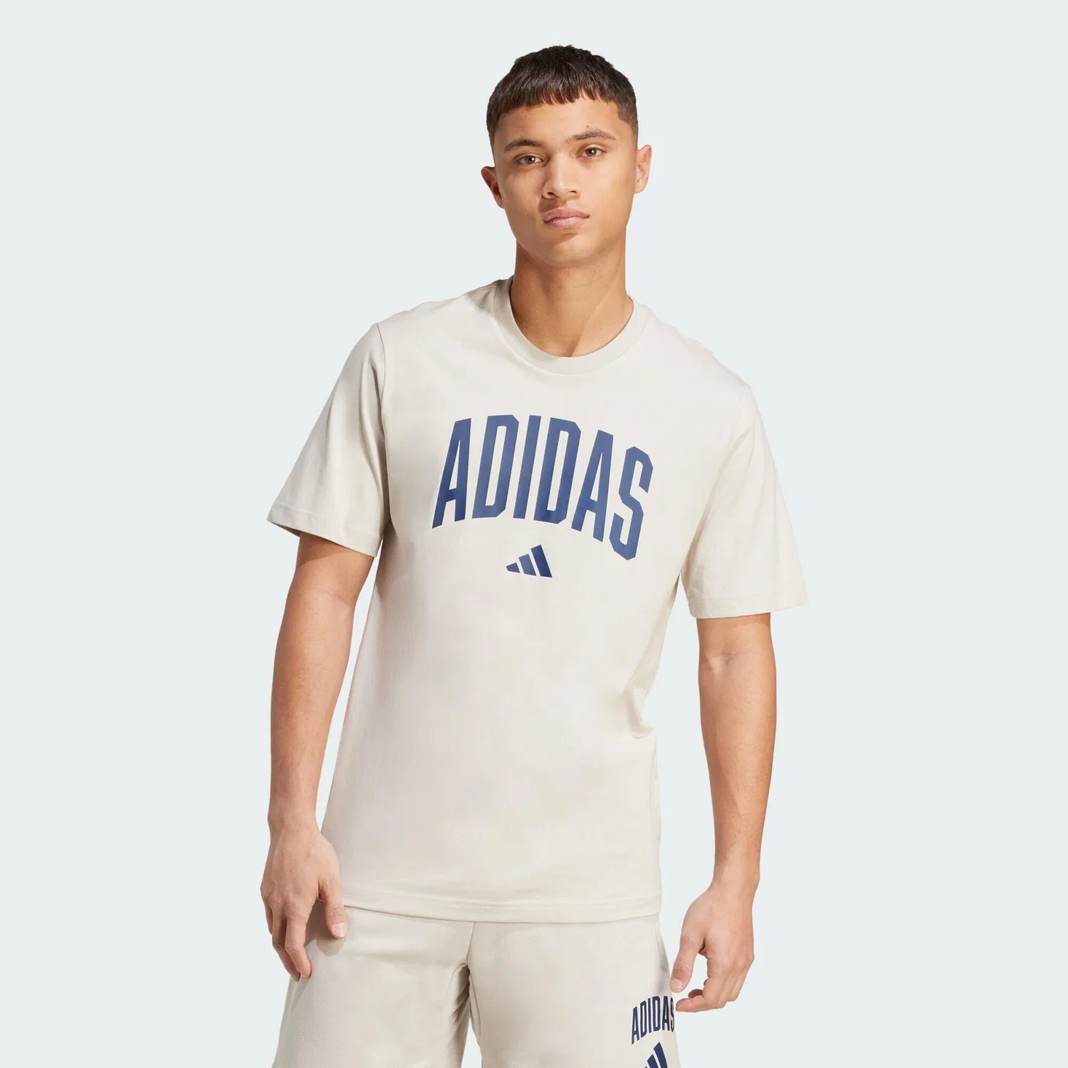 Мужская футболка с принтом Collegiate Lineage Graphic Adidas, Beige