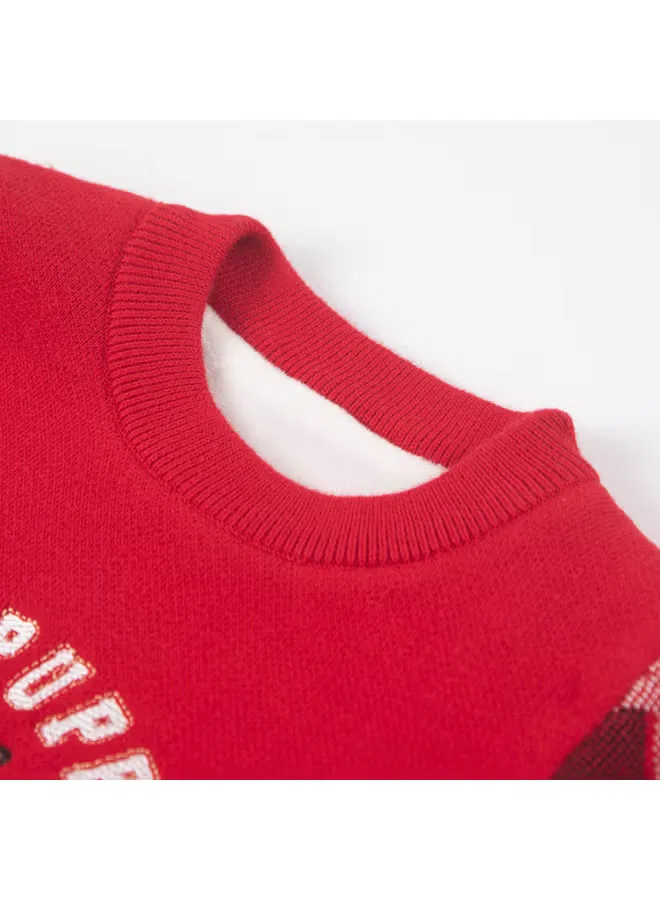 Свитер с принтом собаки и клетчатыми нашивками на рукавах Hush Puppies — фото 4