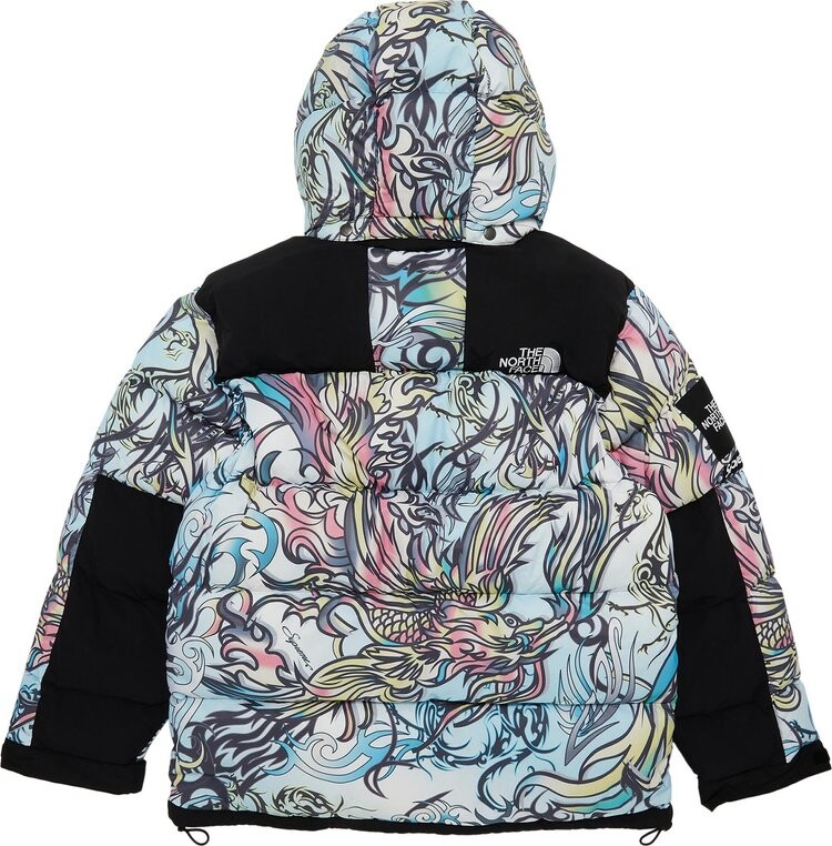 Парка Supreme x The North Face 700-Fill Down Parka 'Multicolor Dragon', разноцветный — фото 3