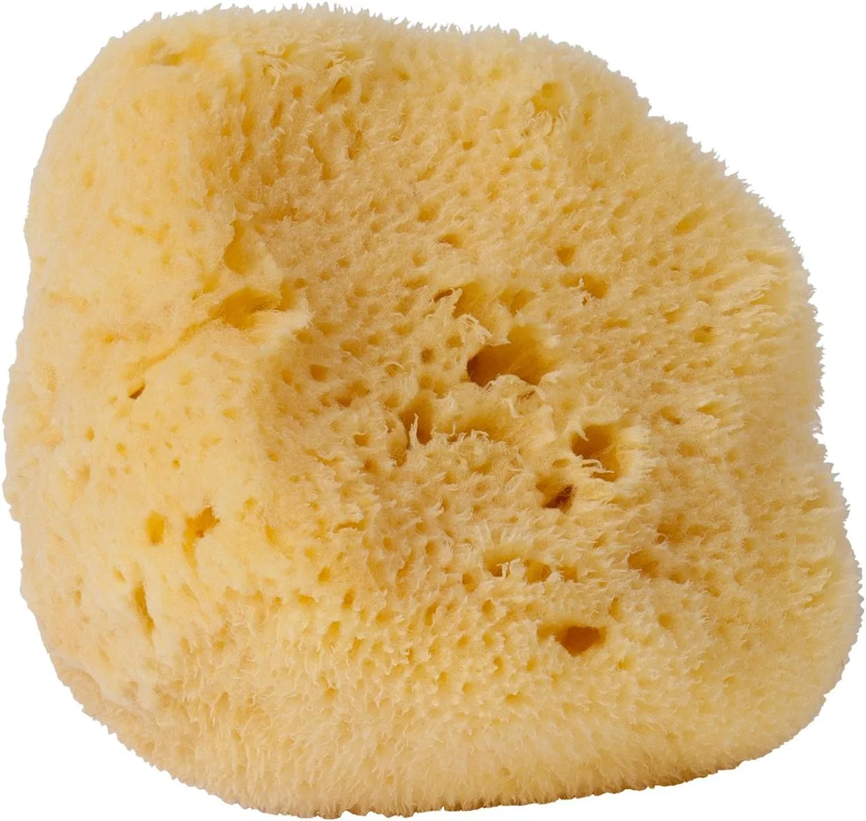 Натуральная морская губка Croll & Denecke, 14 см, Natural