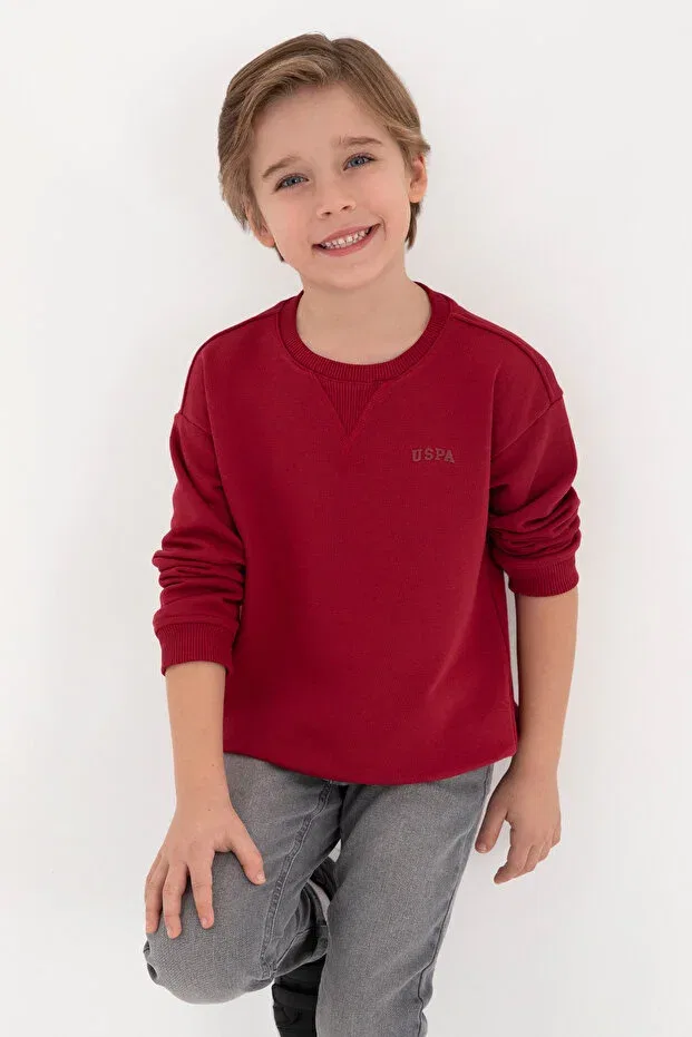 Детские свитшот для мальчиков с длинным рукавом U.S. Polo Assn., 142331