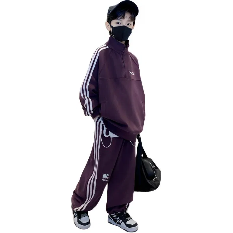 Детский спортивный комплект с воротником-стойкой MADALLO, Purple Two-Piece Set