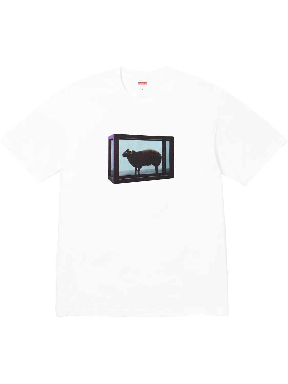 Футболка x Damien Hirst Supreme, белый