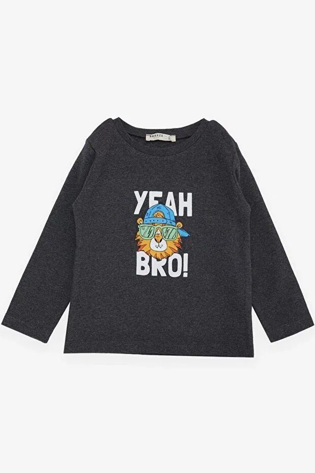 Детская футболка с длинным рукавом с принтом Cool Lion Printed Breeze, Dark Gray Melange