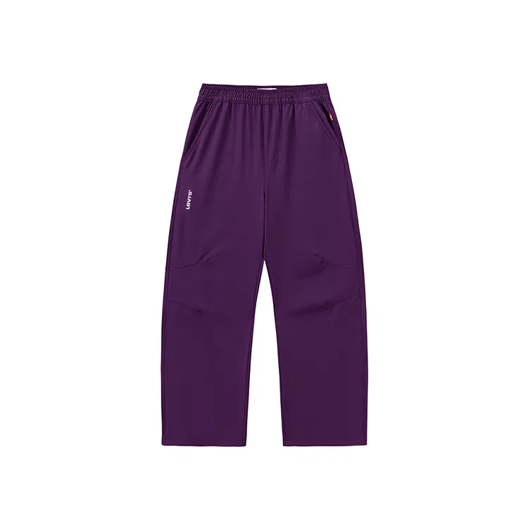 Детские брюки спортивные с ретро-принтом Levis, Plum