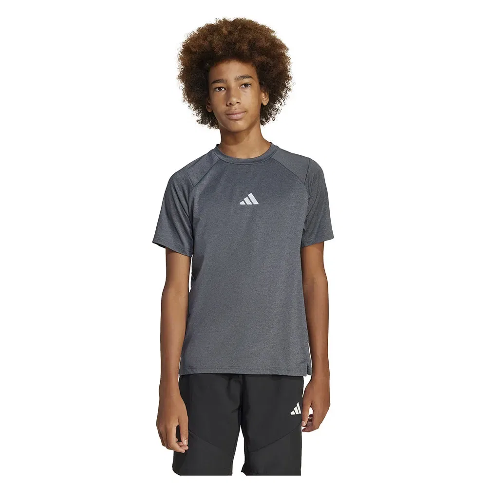 Футболка с коротким рукавом All Sports Favorite Adidas, серый