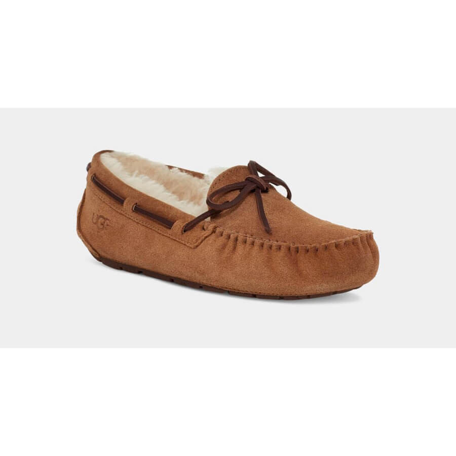 Замшевые тапочки UGG Dakota, коричневый
