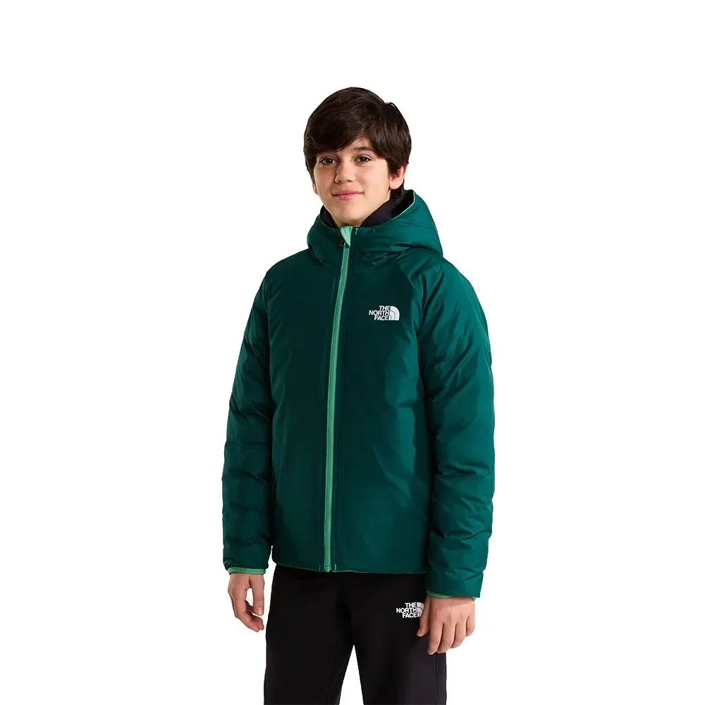 Детская куртка для мальчиков с капюшоном Reversible Perrito The north face, Green — фото 3