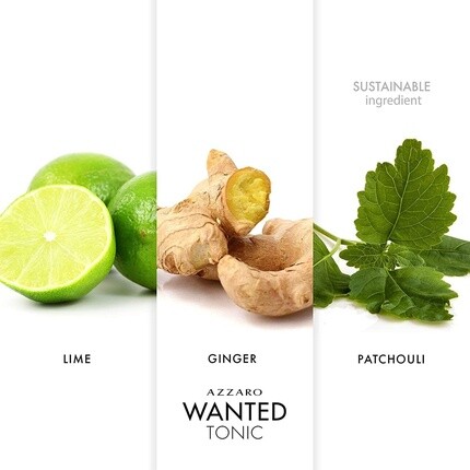 

Туалетная вода-спрей Azzaro Wanted Tonic, 50 мл