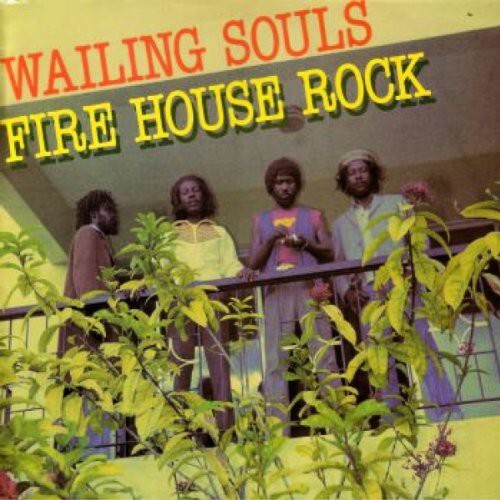 

Виниловая пластинка Wailing Soul: F*ck