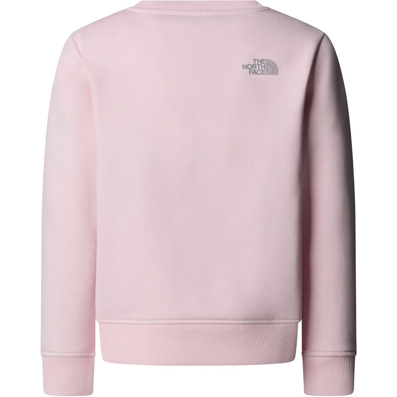 Толстовка g со светоотражающим логотипом, свободный покрой The North Face, цвет pale blossom — фото 2