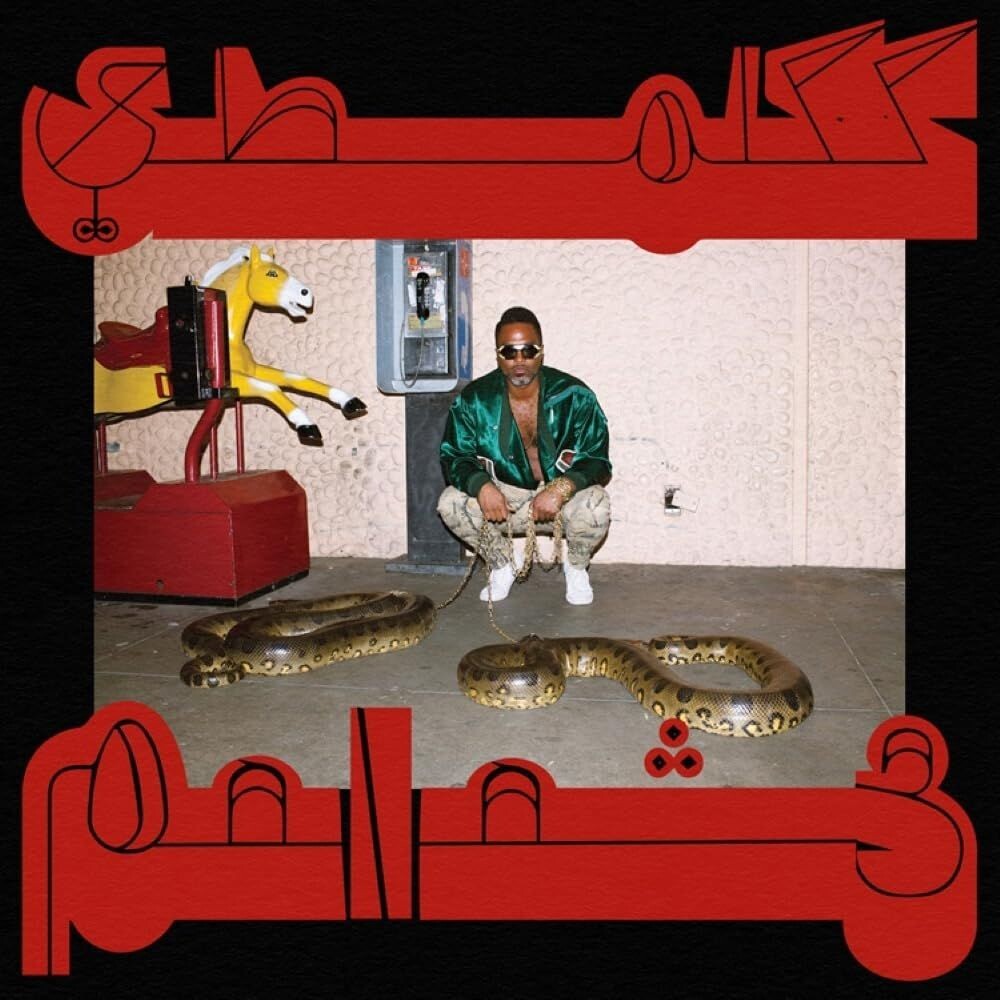 

Виниловая пластинка LP Robed In Rareness - Shabazz Palaces