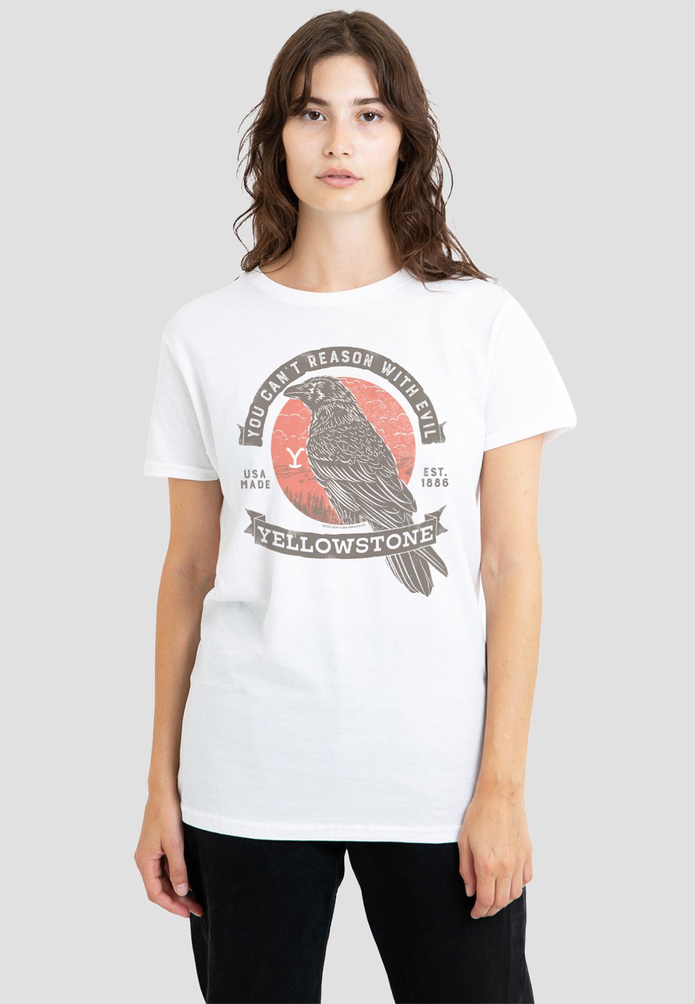 

Футболка с принтом EVIL BIRD Cotton Soul, белый