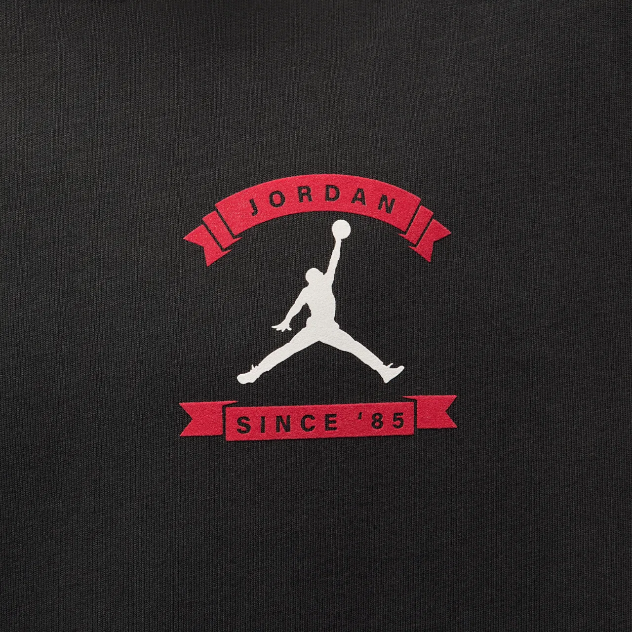 Мужская футболка оверсайз MJ Reissue CLD Jordan, цвет Off Noir/Off Noir — фото 3