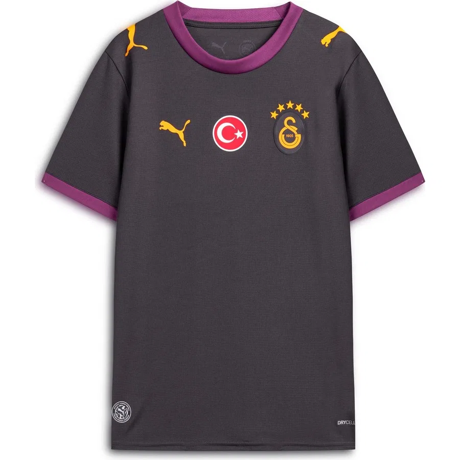Детская футболка с длинным рукавом Puma Galatasaray 26/27 Çocuk Deplasman Forması, Серый