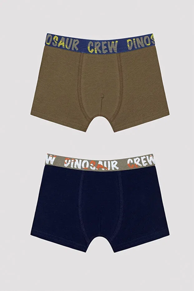 Детские боксеры для мальчиков с принтом Dinosur Crew Slogan Printed Penti, Multicolor
