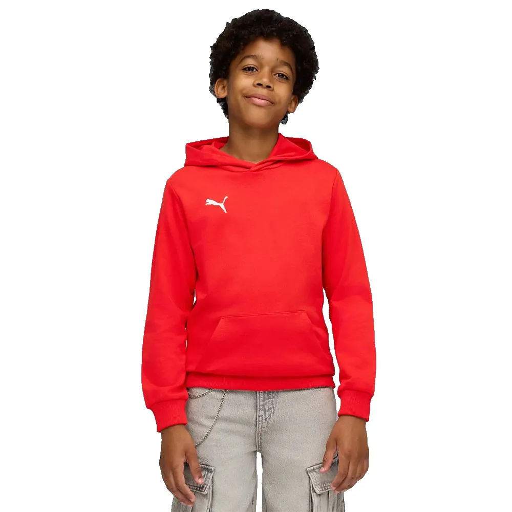 

Худи Puma Teamgoal Casuals, красный