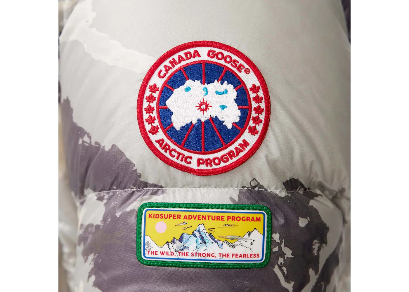 Мужская куртка-пуховик с принтом Crofton Puffer Jacket Canada Goose, Landscape Print — фото 2
