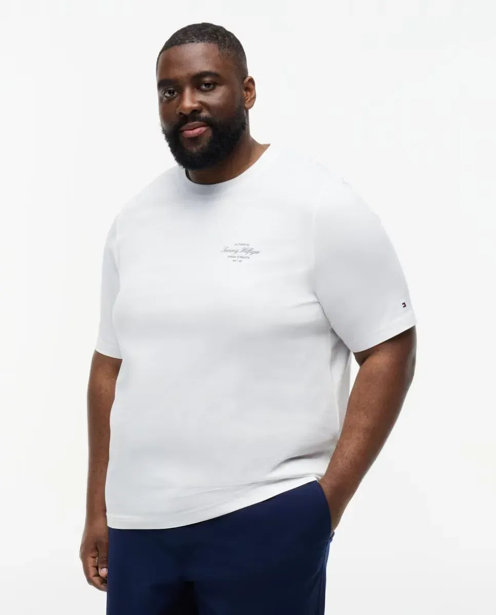 Мужская футболка с коротким рукавом Tommy Hilfiger, Blanco