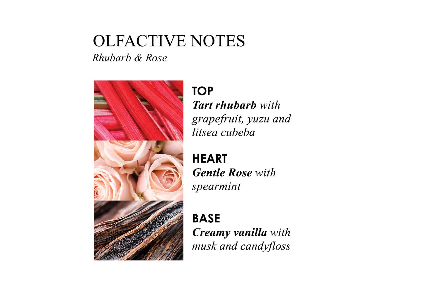 Гель для душа и ванны Delicious Rhubarb & Rose, Molton Brown, 300 мл, Rose — фото 3