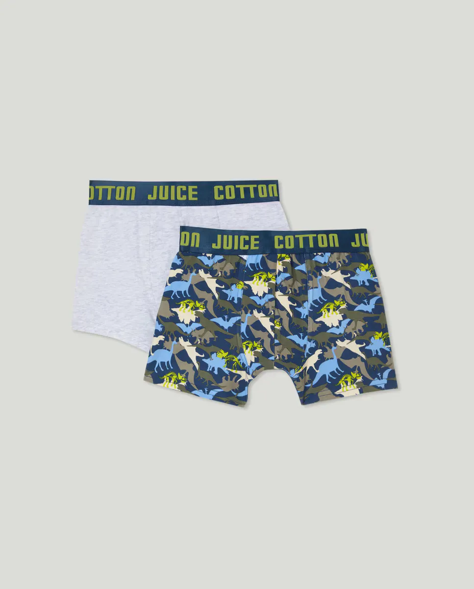 

Комплект из двух боксеров для мальчика Cotton Juice, мультиколор