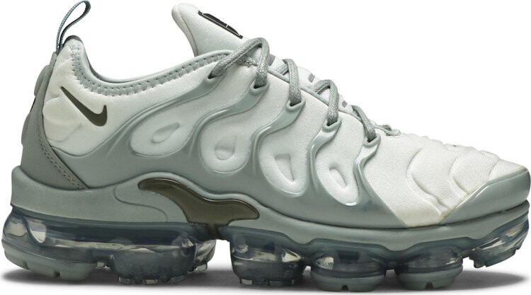 Кроссовки Nike Wmns Air VaporMax Plus 'Light Grey', серый