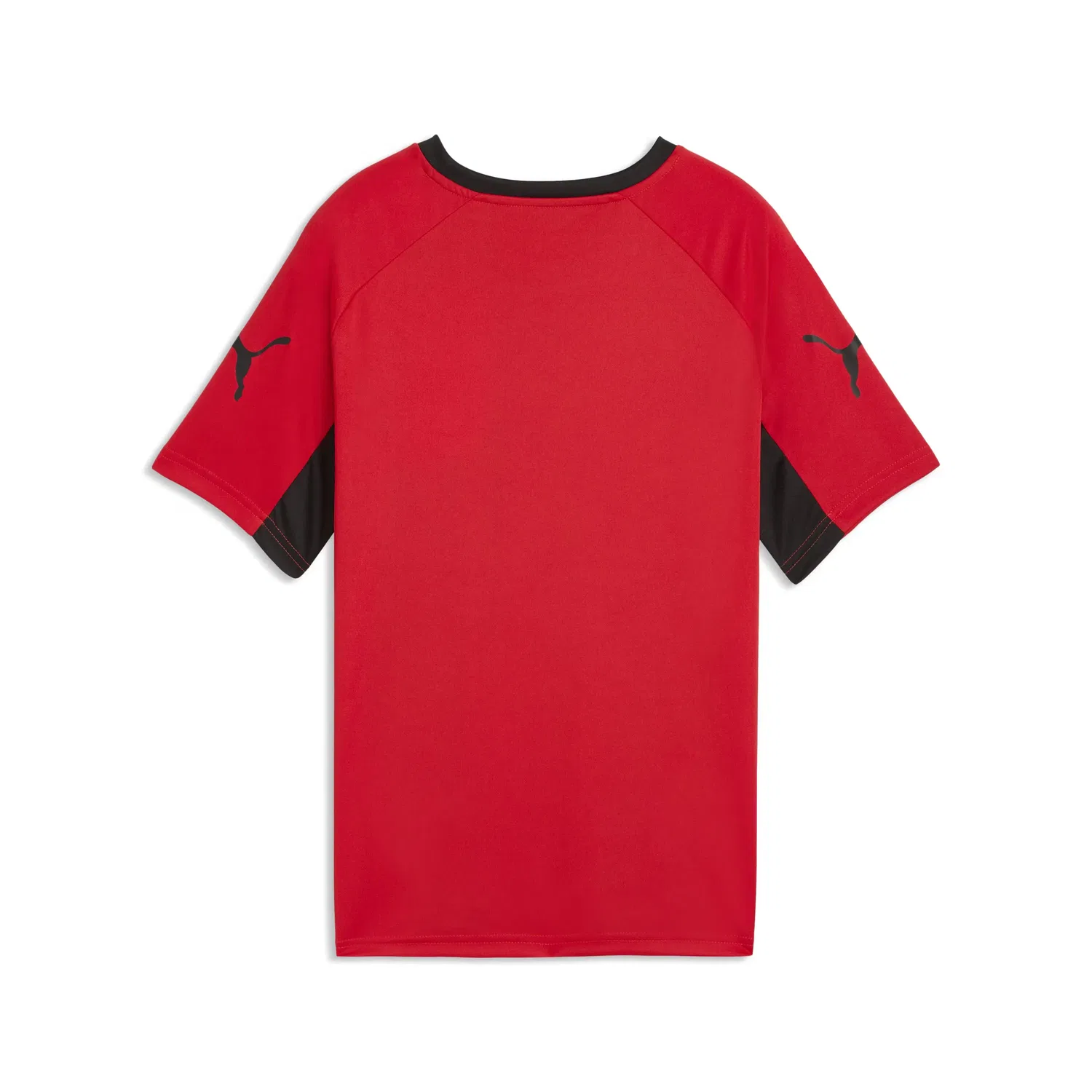 Детская футболка для мальчиков с принтом Liga Graphic Jr Puma, Rojo — фото 4