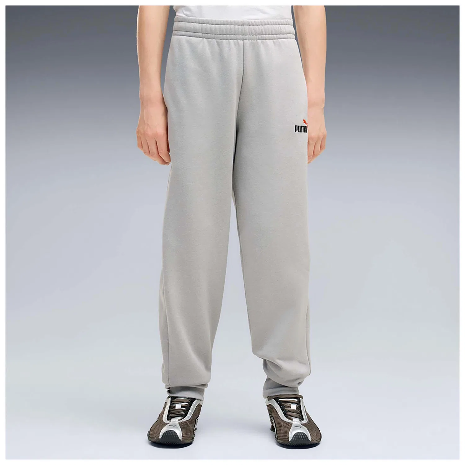 Детские спортивные штаны с принтом Puma Ess 2-Farbig Nr. 1 Logo Sweatpants Fl B, Puma, Grau — фото 2