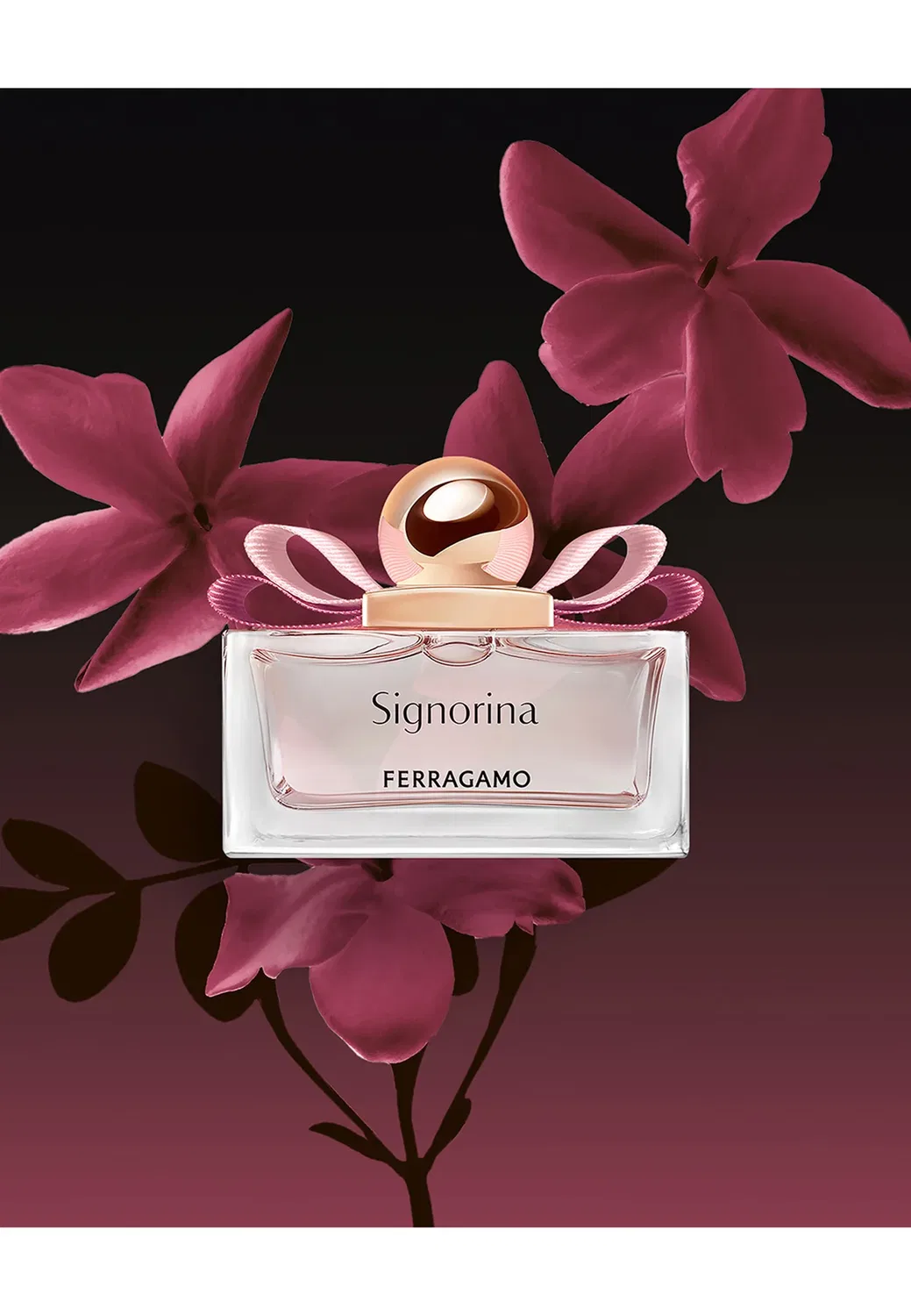 Подарочный набор Signorina (парфюмерная вода + лосьон для тела) - набор ароматов Ferragamo Fragrances, One Size — фото 4
