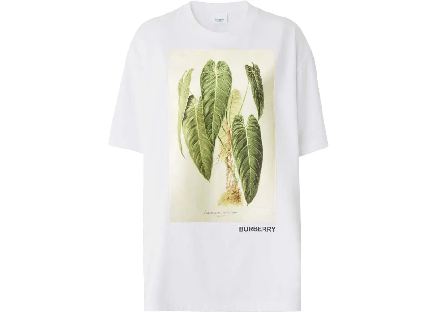 Женская футболка с принтом Botanical Sketch Burberry, White