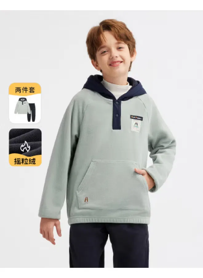 Комплект спортивный с начесом для мальчиков, худи и штаны, Hush Puppies