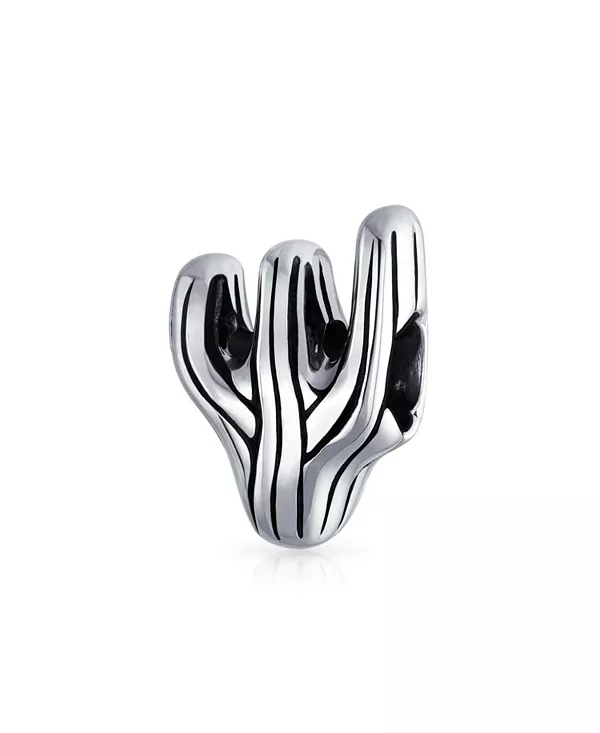 

Бусина-Подвеска в виде кактуса из юго-западной пустыни Сонора из окисленного стерлингового серебра Bling Jewelry, silver