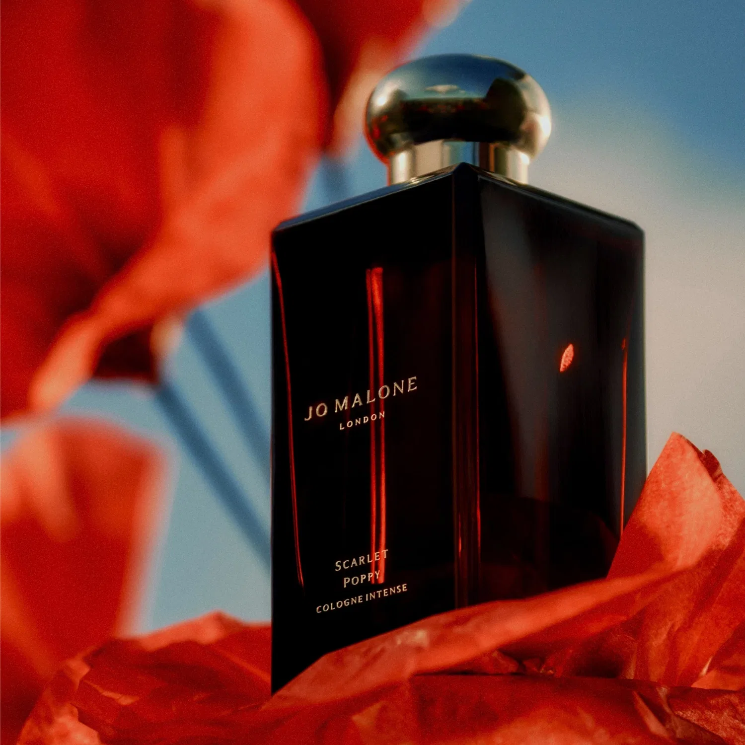 Туалетная вода Scarlet Poppy Cologne Intense, Jo Malone London, 100 мл — фото 3