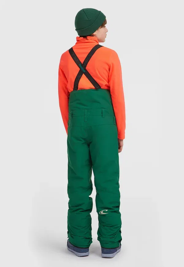 Сноубордические брюки с регулируемым поясом Fwc'Cruz bib O'Neill, Emerald Envy Colour Block, изумрудный — фото 3