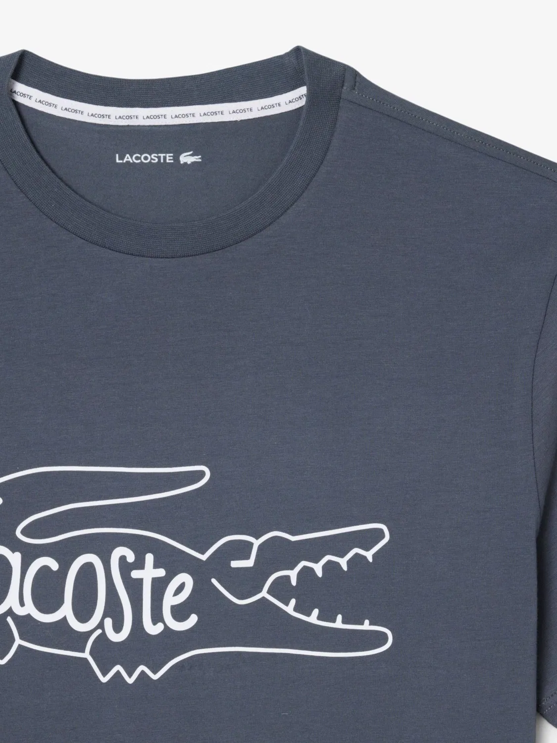 Пижама с принтом крокодила, джерси Lacoste, серый — фото 2