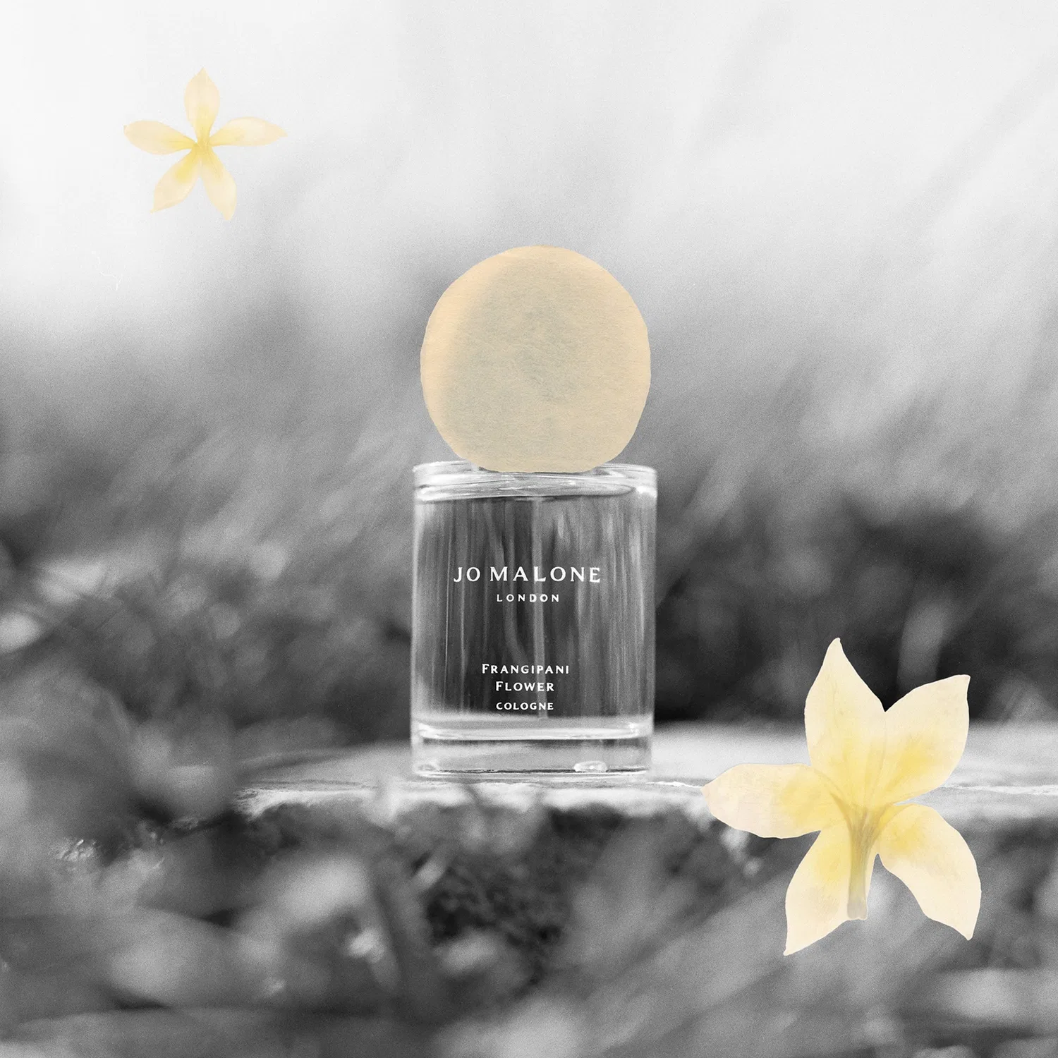 Парфюмерная вода Frangipani Flower Jo Malone London, 30 мл — фото 2